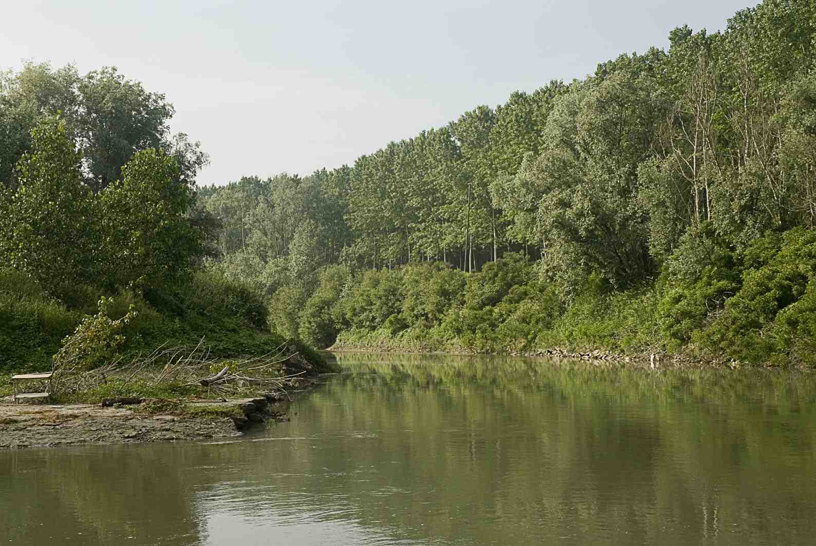 Applicazione integrata della DIRETTIVA HABITAT e della DIRETTIVA ACQUE: Verso il piano della biodiversità del fiume Po
